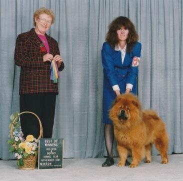Me Showing chow chow